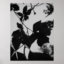Leaves Print