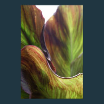 Leaves posters