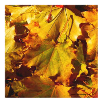 Leaves Poster/Print by ohgreeting Leaves Poster/Print