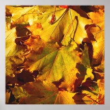 Leaves Poster/Print