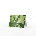 Leaves & shadows cards