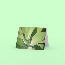 Leaves & Shadows v2 cards
