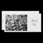 Leaves - Thank You photo cards