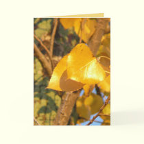 Leaves That Talk cards by MoiraAshleigh Leaves That Talk cards