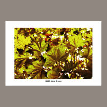 Leaves there #1 posters
