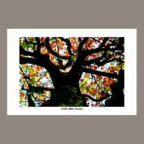Leaves there #4 posters