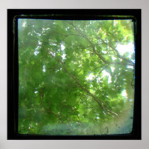 Leaves TTV Posters