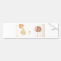 Leaves Under Tissue.jpg Bumper Sticker