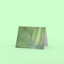 Leaves v2 cards