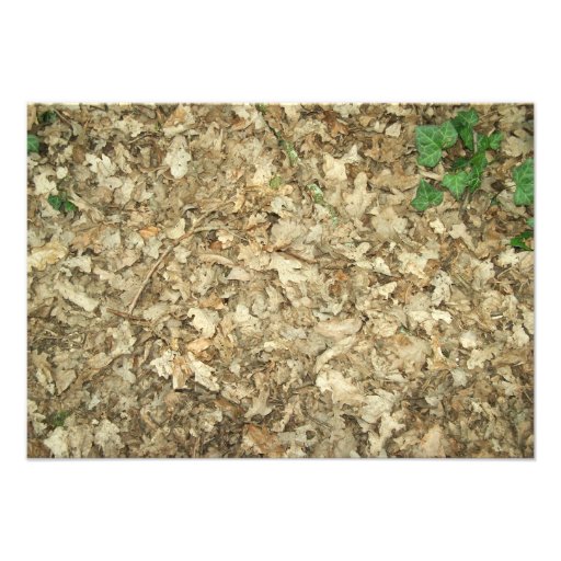 Leaves. Woodland floor. Leafy ground. Custom Invite