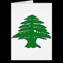 Lebanese Cedar cards