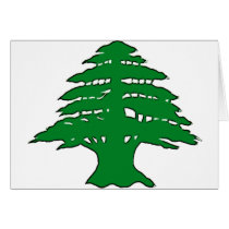 Lebanese Cedar cards