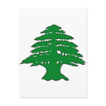 Lebanese Cedar Postcards