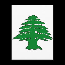 Lebanese Cedar postcards