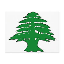 Lebanese Cedar Post Cards