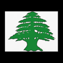 Lebanese Cedar postcards
