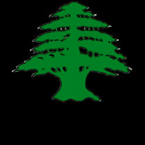 Lebanese Cedar t-shirts