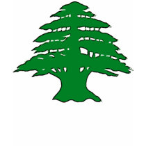 Lebanese Cedar t-shirts