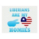 Lebaneses are my Homies Post Cards