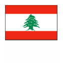 Lebanon Flag and Map T-Shirt by FlagAndMap Lebanon Flag and Map T-Shirt