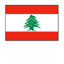 Lebanon Flag and Map T-Shirt by FlagAndMap Lebanon Flag and Map T-Shirt