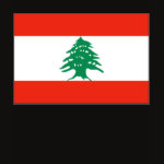 Lebanon Flag Map Spaghetti Top