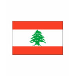 Lebanon FLAG International Tshirt