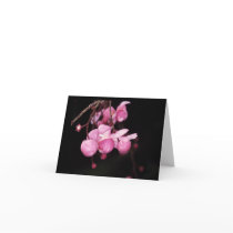 LECYTHIDACEAE: Couratari tenuicarpa Greeting Card