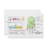 LED Light Emitting Diode Schematic Custom Invitations