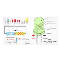 LED Light Emitting Diode Schematic Customized Photo Card