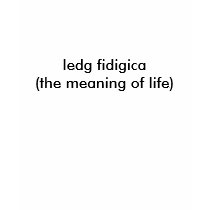 ledg fidigica t-shirts