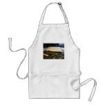 Ledger and Eyeglasses aprons