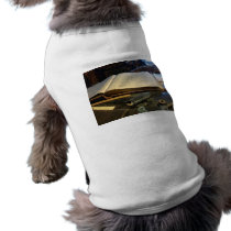 Ledger and Eyeglasses Pet Clothes