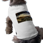 Ledger and Eyeglasses Pet Clothes