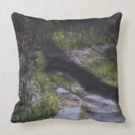 Ledges State Park Throw Pillow