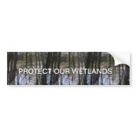 Ledges State Park Trees in a Pond Bumper Stickers
