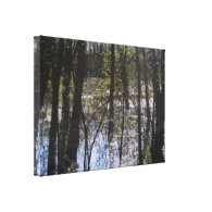 Ledges State Park Trees in a Pond Canvas Print