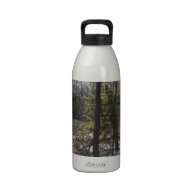 Ledges State Park Trees in a Pond Reusable Water Bottles