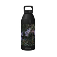 Ledges State Park Violet Flowers Drinking Bottles