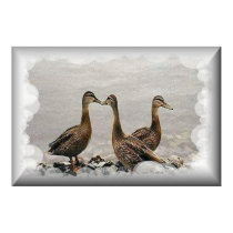 Lee-Marie's 3 Female Ducks posters by ykryartist Lee-Marie's 3 Female Ducks posters