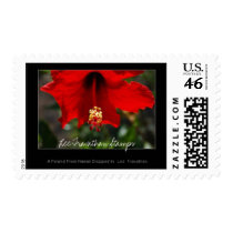 Lee Travathan Stamps - A Friend From Hawaii... by LeeTravathan Lee Travathan Stamps - A Friend From Hawaii...