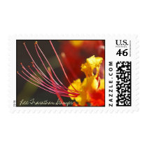 Lee Travathan Stamps - Reaching by LeeTravathan Lee Travathan Stamps - Reaching