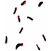 leech - bloodsuckers t-shirts