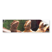 Leezard Trio Bumper Stickers