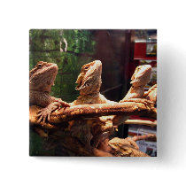 Leezard Trio Pinback Buttons
