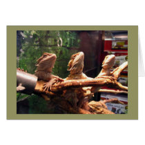 Leezard Trio Greeting Card