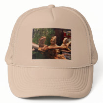 Leezard Trio Mesh Hats