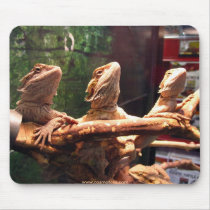 Leezard Trio Mouse Pads