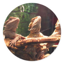 Leezard Trio Round Sticker