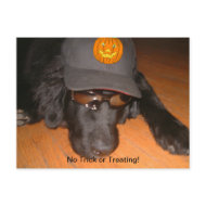 Left Behind This Halloween postcard